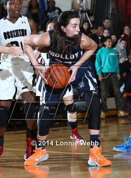 Thumbnail 2 in Archbishop Molloy @ Ossining photogallery.