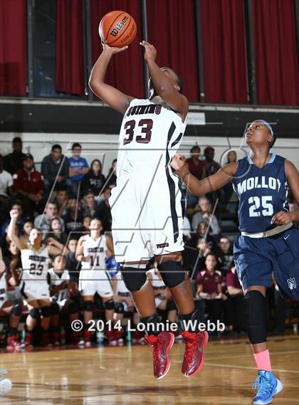 Thumbnail 3 in Archbishop Molloy @ Ossining photogallery.