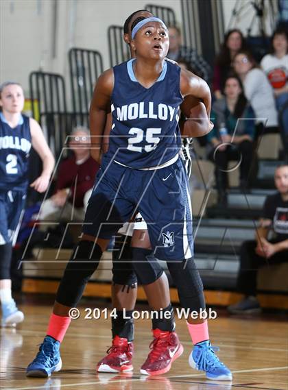 Thumbnail 1 in Archbishop Molloy @ Ossining photogallery.