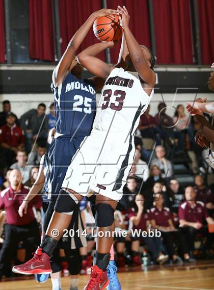 Thumbnail 2 in Archbishop Molloy @ Ossining photogallery.