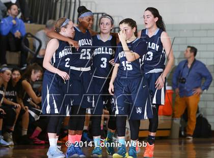Thumbnail 2 in Archbishop Molloy @ Ossining photogallery.
