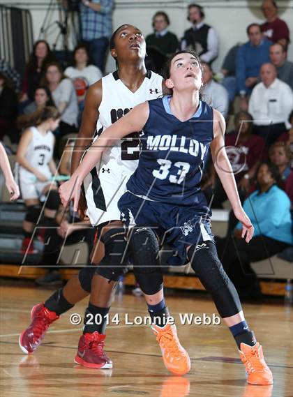 Thumbnail 3 in Archbishop Molloy @ Ossining photogallery.