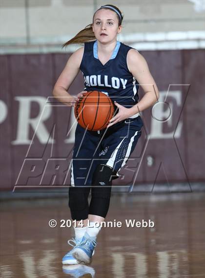 Thumbnail 3 in Archbishop Molloy @ Ossining photogallery.