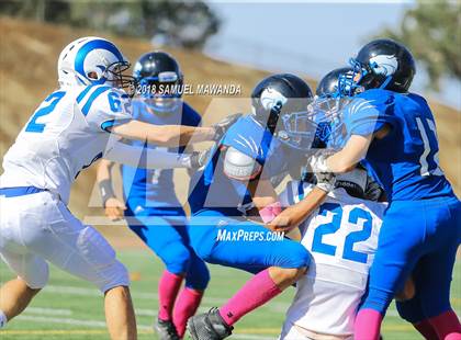 Thumbnail 3 in Cate vs Milken photogallery.