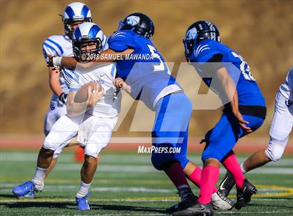 Thumbnail 3 in Cate vs Milken photogallery.