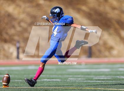 Thumbnail 3 in Cate vs Milken photogallery.