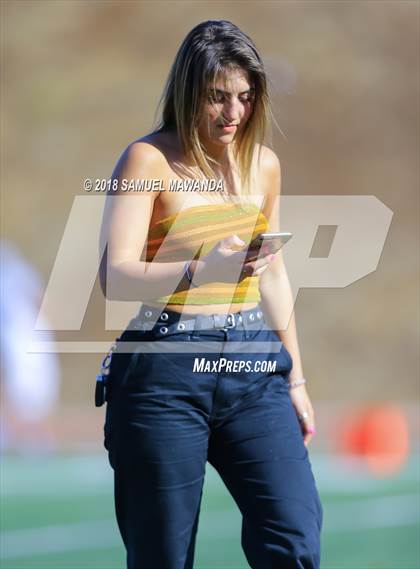 Thumbnail 2 in Cate vs Milken photogallery.