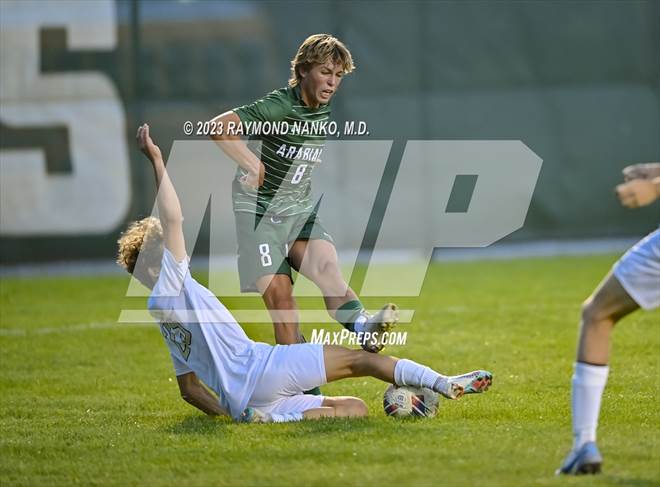 null - Photo 01