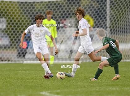 Thumbnail 2 in Mt. Vernon @ Pendleton Heights photogallery.