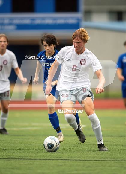Thumbnail 1 in Lebanon @ Oyster River photogallery.