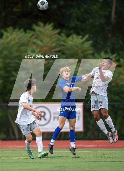 Thumbnail 3 in Lebanon @ Oyster River photogallery.
