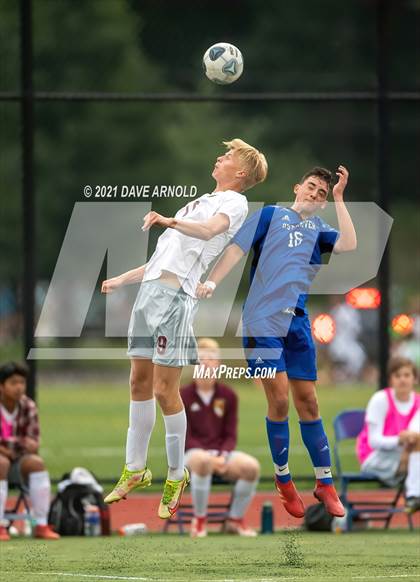 Thumbnail 3 in Lebanon @ Oyster River photogallery.
