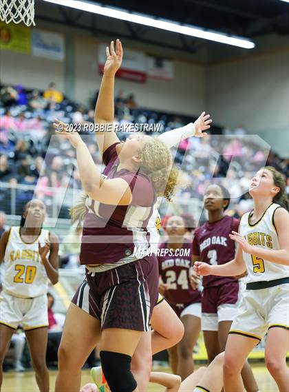 Thumbnail 3 in Red Oak @ Forney photogallery.