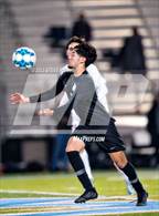 Photo from the gallery "Laguna Creek @ Burbank"