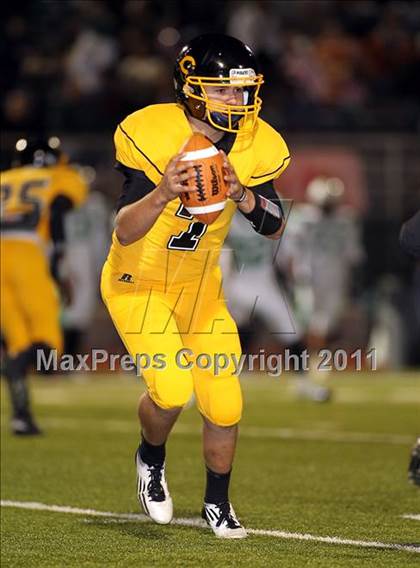 Thumbnail 2 in Mabank @ Crandall photogallery.