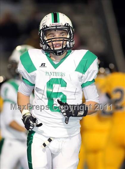 Thumbnail 3 in Mabank @ Crandall photogallery.