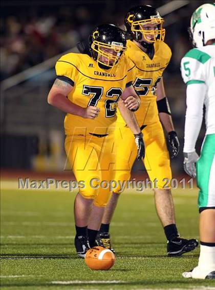Thumbnail 2 in Mabank @ Crandall photogallery.