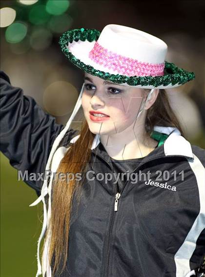 Thumbnail 3 in Mabank @ Crandall photogallery.