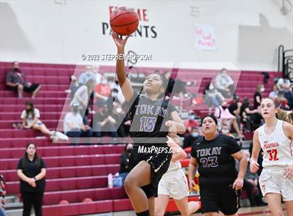 Thumbnail 3 in Tokay @ Lodi photogallery.