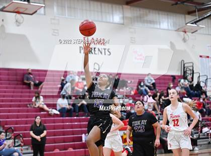 Thumbnail 1 in Tokay @ Lodi photogallery.