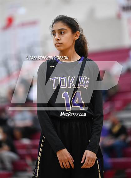 Thumbnail 1 in Tokay @ Lodi photogallery.