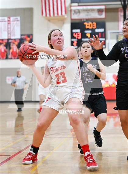 Thumbnail 1 in Tokay @ Lodi photogallery.