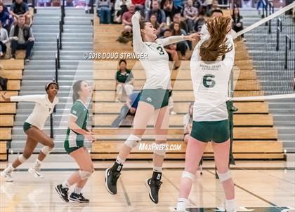 Thumbnail 3 in St. Ignatius vs. Sacred Heart Cathedral Preparatory (CIF-CCS Open Div. Championship) photogallery.