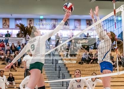 Thumbnail 1 in St. Ignatius vs. Sacred Heart Cathedral Preparatory (CIF-CCS Open Div. Championship) photogallery.
