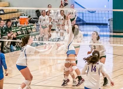 Thumbnail 3 in St. Ignatius vs. Sacred Heart Cathedral Preparatory (CIF-CCS Open Div. Championship) photogallery.