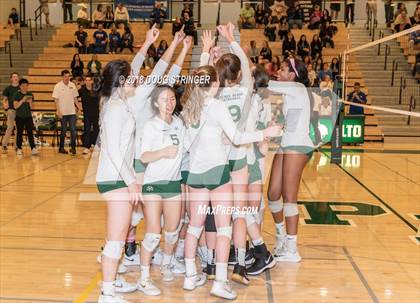 Thumbnail 3 in St. Ignatius vs. Sacred Heart Cathedral Preparatory (CIF-CCS Open Div. Championship) photogallery.