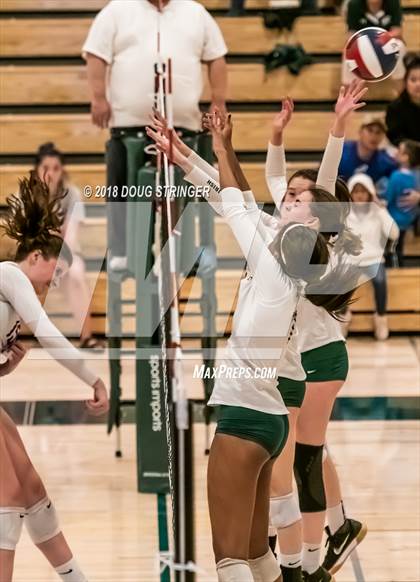 Thumbnail 1 in St. Ignatius vs. Sacred Heart Cathedral Preparatory (CIF-CCS Open Div. Championship) photogallery.