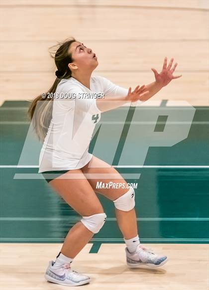 Thumbnail 3 in St. Ignatius vs. Sacred Heart Cathedral Preparatory (CIF-CCS Open Div. Championship) photogallery.