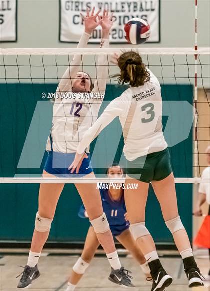 Thumbnail 3 in St. Ignatius vs. Sacred Heart Cathedral Preparatory (CIF-CCS Open Div. Championship) photogallery.