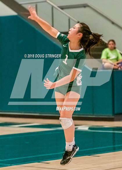 Thumbnail 2 in St. Ignatius vs. Sacred Heart Cathedral Preparatory (CIF-CCS Open Div. Championship) photogallery.