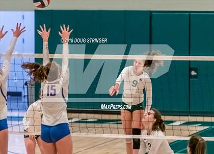 Thumbnail 3 in St. Ignatius vs. Sacred Heart Cathedral Preparatory (CIF-CCS Open Div. Championship) photogallery.