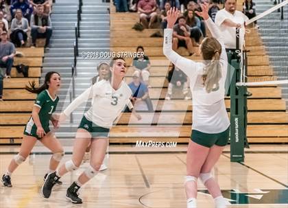Thumbnail 1 in St. Ignatius vs. Sacred Heart Cathedral Preparatory (CIF-CCS Open Div. Championship) photogallery.