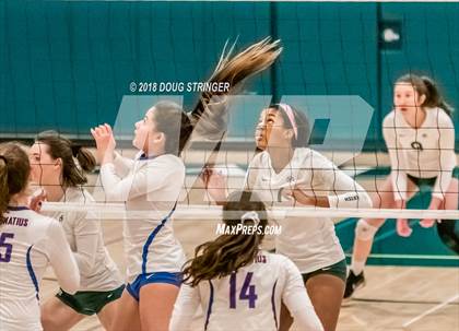 Thumbnail 3 in St. Ignatius vs. Sacred Heart Cathedral Preparatory (CIF-CCS Open Div. Championship) photogallery.