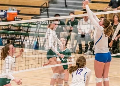 Thumbnail 2 in St. Ignatius vs. Sacred Heart Cathedral Preparatory (CIF-CCS Open Div. Championship) photogallery.