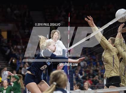 Thumbnail 1 in Holy Family vs. Valor Christian (CHSAA 4A Semi-Final) photogallery.