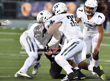 Thumbnail 1 in Narbonne vs. Pittsburg (CIF State D1-A Final) photogallery.