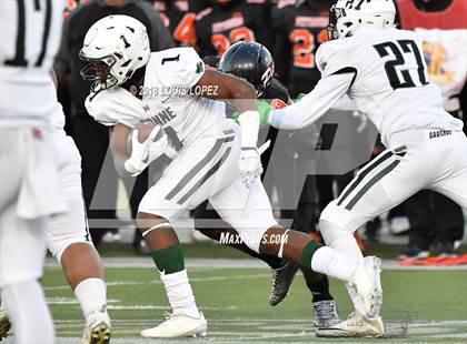 Thumbnail 1 in Narbonne vs. Pittsburg (CIF State D1-A Final) photogallery.