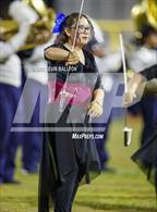 Photo from the gallery "Westchester @ Venice"