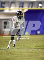 Photo from the gallery "Westchester @ Venice"