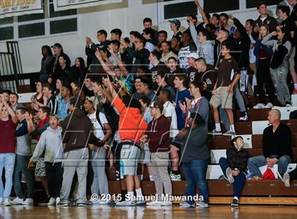 Thumbnail 3 in Viewpoint @ Crespi photogallery.