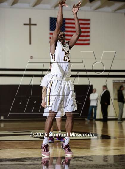 Thumbnail 1 in Viewpoint @ Crespi photogallery.