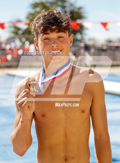 Thumbnail 3 in AIA Division 1-3 Diving State Championships  (Awards) photogallery.