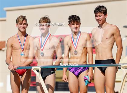 Thumbnail 1 in AIA Division 1-3 Diving State Championships  (Awards) photogallery.