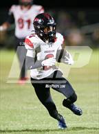 Photo from the gallery "Creekside @ Fleming Island"