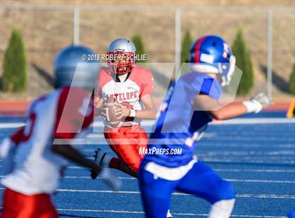 Thumbnail 3 in Antelope @ Folsom photogallery.