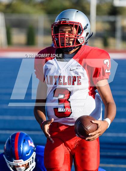 Thumbnail 2 in Antelope @ Folsom photogallery.